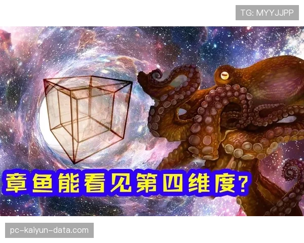 赖斯的真实水平体现在哪些关键能力维度上？